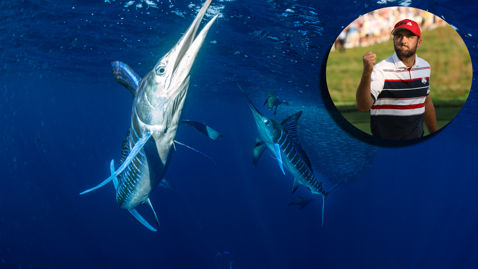 Scottie Scheffler Picks Up Huge Win Off The Course After His Pro Fishing Team Won The Sport Fishing Championship Playoffs In Cabo