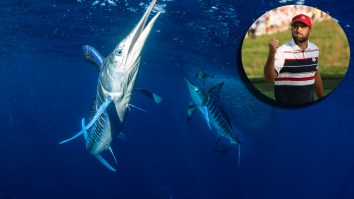 Scottie Scheffler Picks Up Huge Win Off The Course After His Pro Fishing Team Won The Sport Fishing Championship Playoffs In Cabo