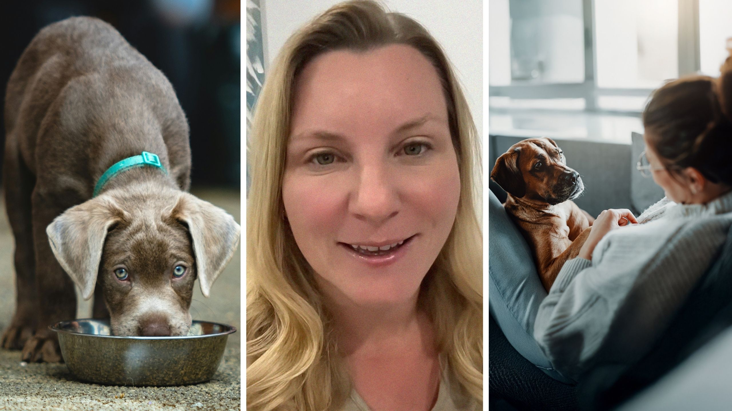 dog eating (l) woman shares job requests (c) dog and woman interacting (r)