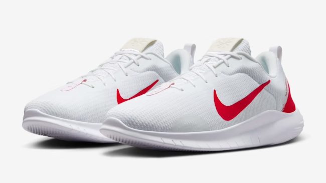 Nike Flex Experience Run 12 Road Running Shoes