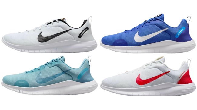 Nike Flex Experience Run 12 running shoes