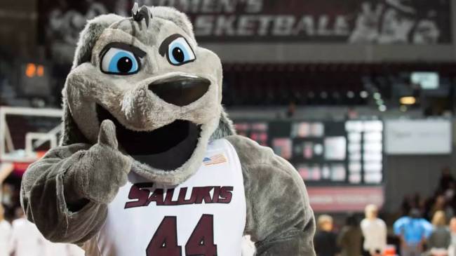Southern Illinois Salukis mascot