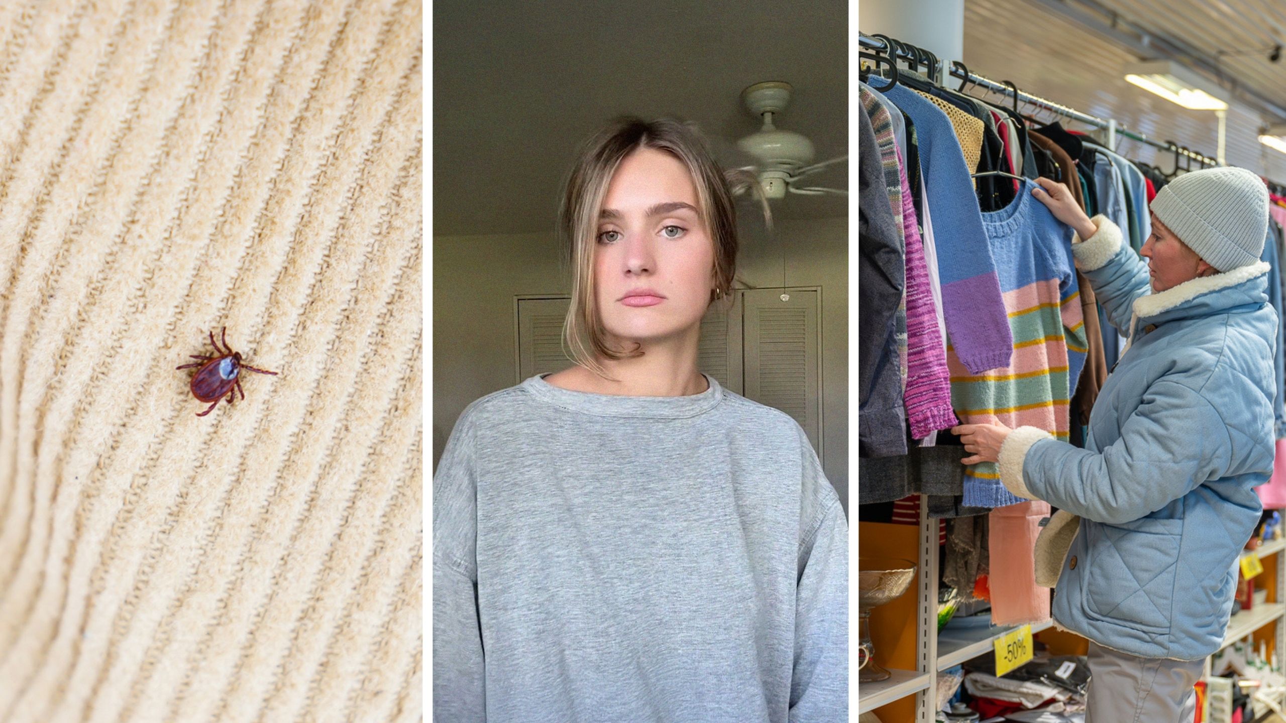 bed bug (l) woman shares thrifting consequences (c) woman thrifting (r)
