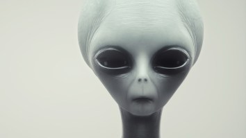 Neurosurgeon Describes Coming Face-To-Face With An Alien, Telepathically Communicating With It