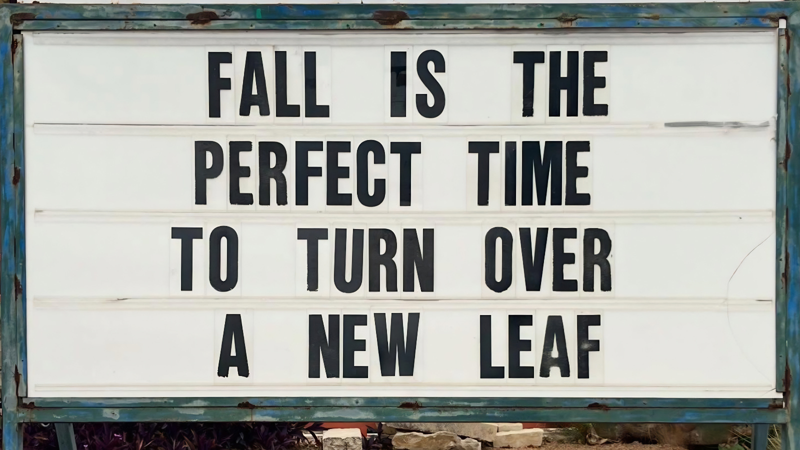 Here Are This Week’s 55 Best Memes On The Internet