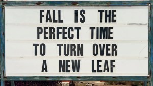best meme about Fall leaves