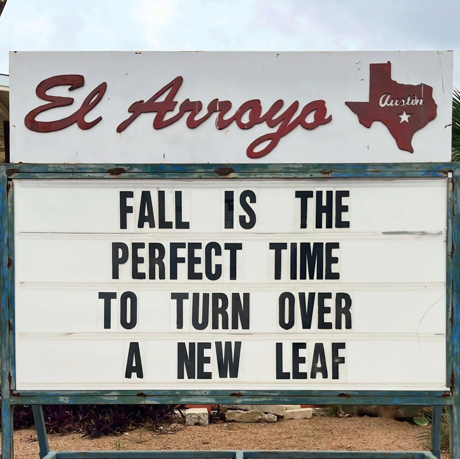 best meme about Fall leaves