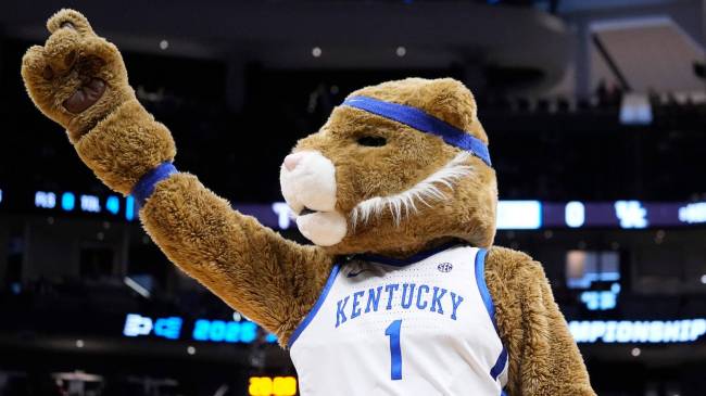 Kentucky Wildcats basketball mascot
