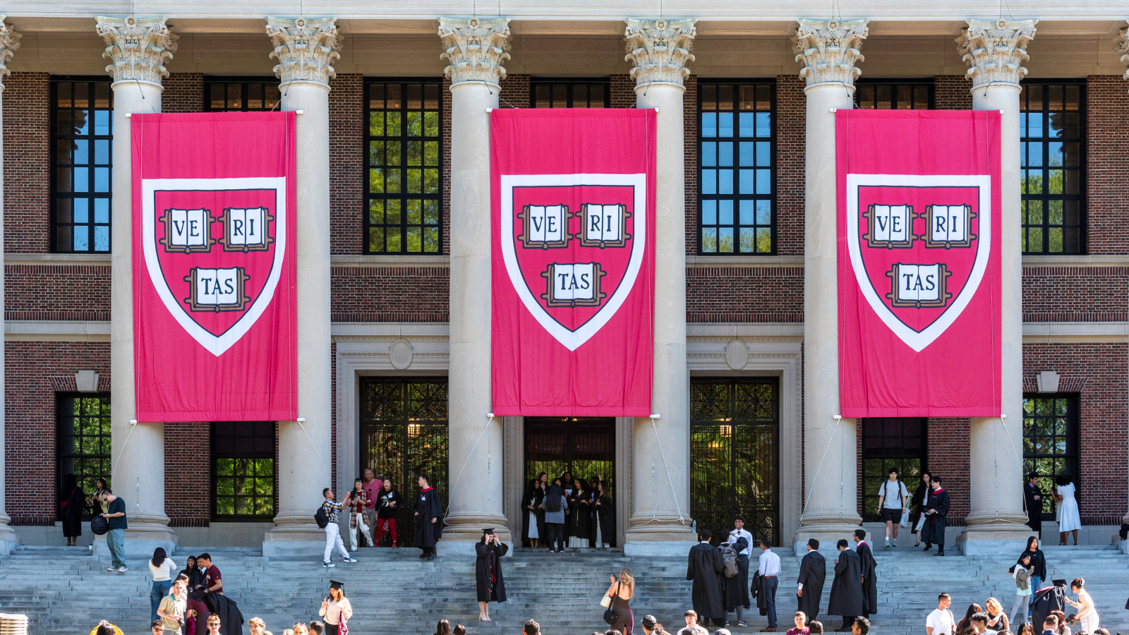 Harvard University banners