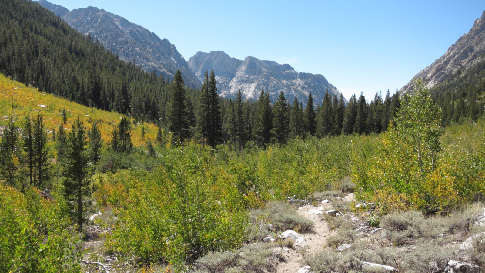 Sierra National Forest in California