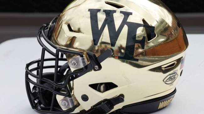 Wake Forest helmet