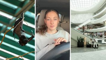‘I Used To Work At Home Depot So…’: Washington Woman Gets Attacked By A Bat At The Mall. Then The Security Guard Tells Her Something Shocking