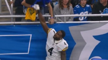DK Metcalf Throws Punch At Lions Fan In The Stands During Game