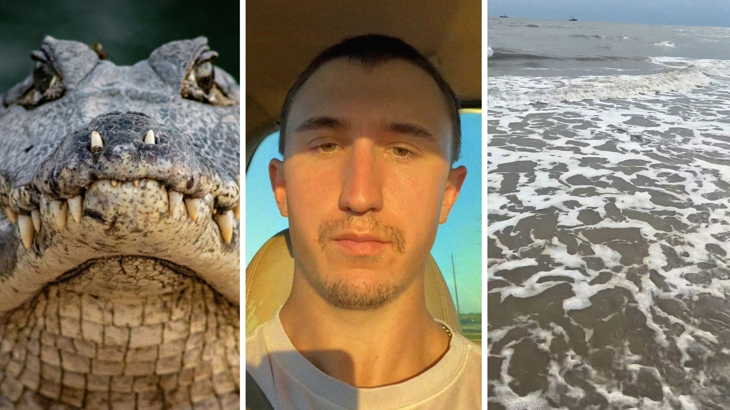 ‘He Clearly Is On Vacation From Florida!!’: Man Visits Houston Beach. He Runs Into A Wild Predator Just Chilling On The Sand