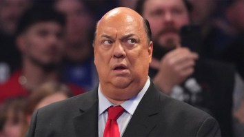 WWE Star Paul Heyman Under Fire For Shoving Young Fan At Survivor Series, But Should He Be?