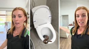 woman finds surprise in bathroom (l) snake in toilet (c) woman shares bathroom scare (r)