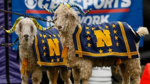 Army Steal Navy Goat Mascot Bill Fail Wrong Goat 2025