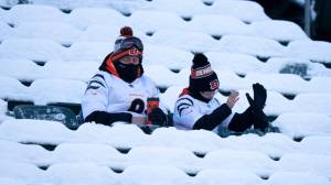 Bengals fans in seats covered in snow