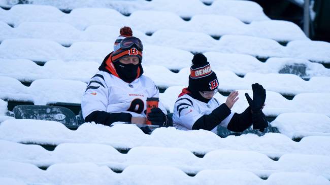 Bengals fans in seats covered in snow