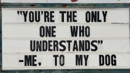 The 51 Best Memes To Start This New Week Off Right