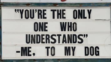 The 51 Best Memes To Start This New Week Off Right