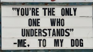 best meme about dogs