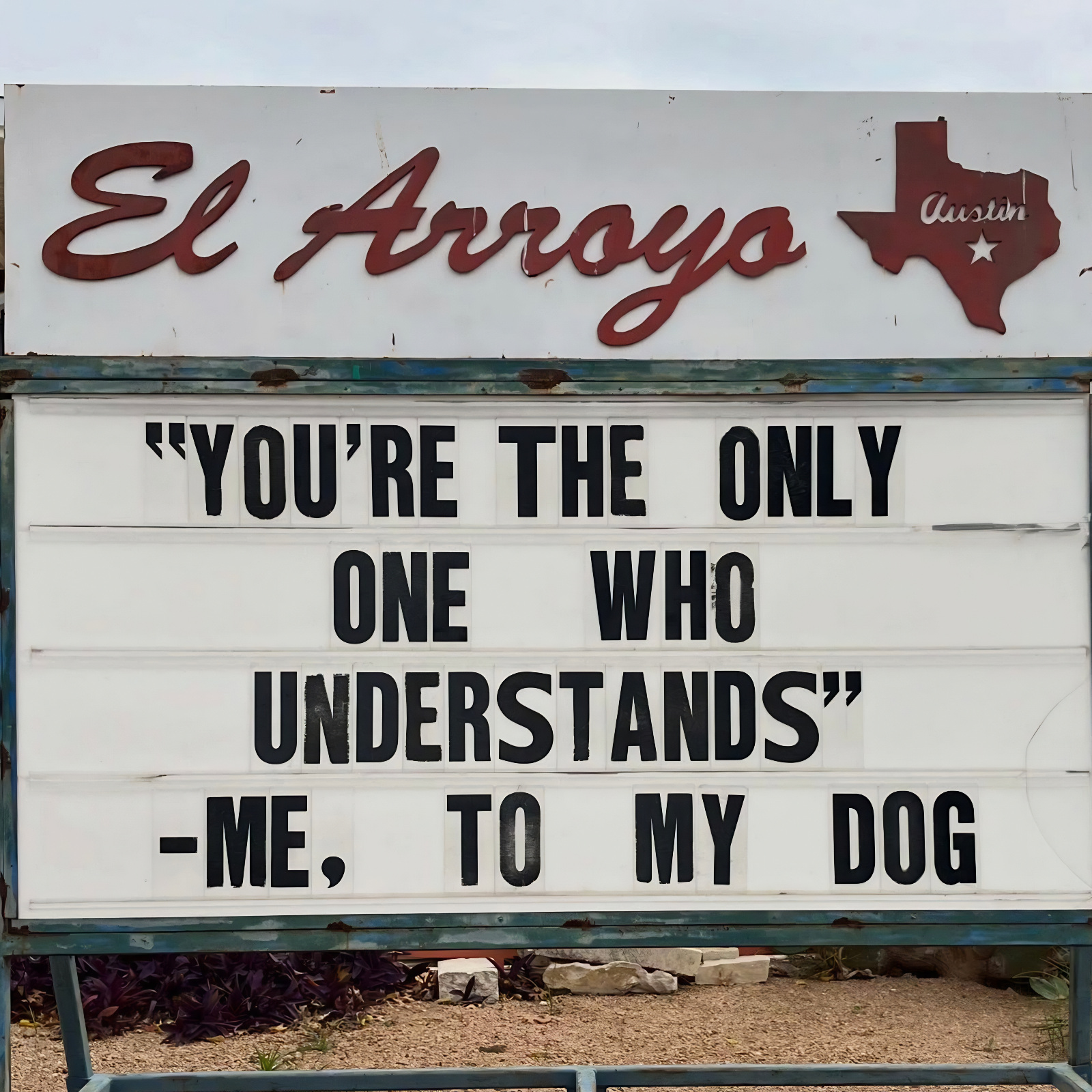 best meme about dogs