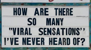best memes about viral sensations