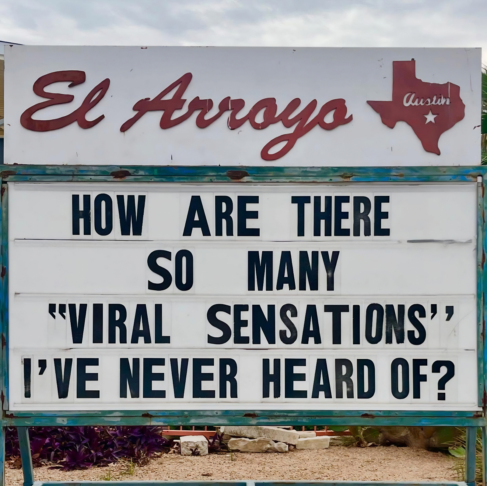 best memes about viral sensations