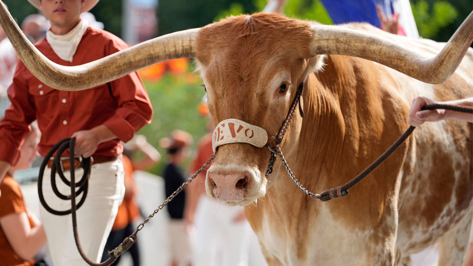 Texas Mascot Bevo Got Huge Cake Shaped Like A Cheez-It