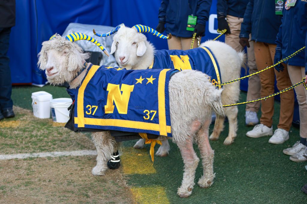 Army Students Stole Wrong Goat Mascot From Navy For Pep Rally