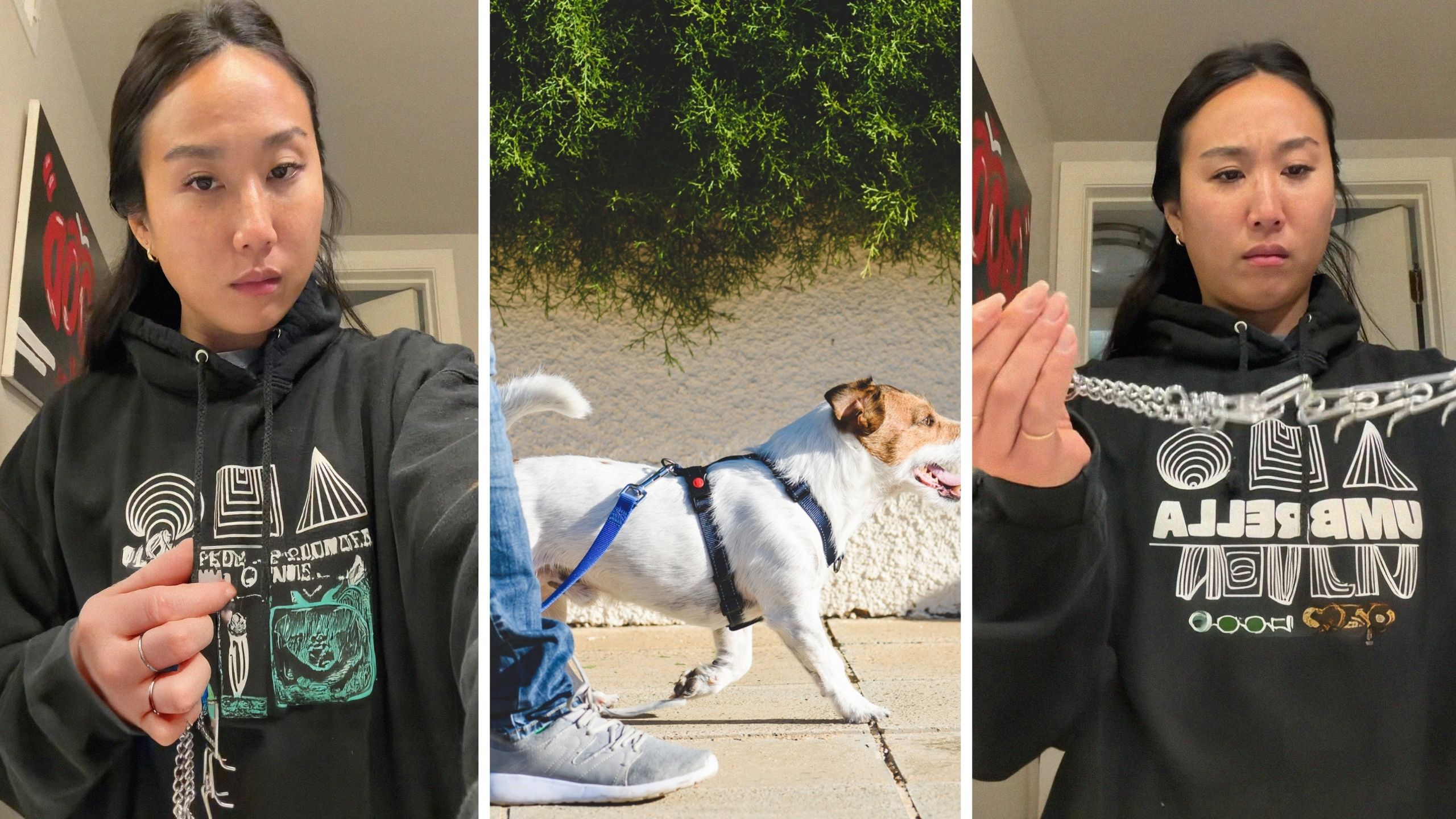 woman shares scary dog collar story (l) puppy going on a walk (c) woman tries on scary dog collar (r)