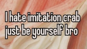 Wake Up With The 50 Funniest Memes You Will See Today