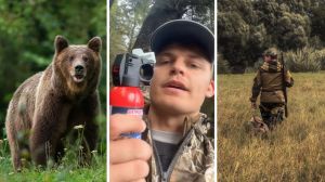 wild brown bear (l) man shares hunting experience (c) man goes hunting (r)