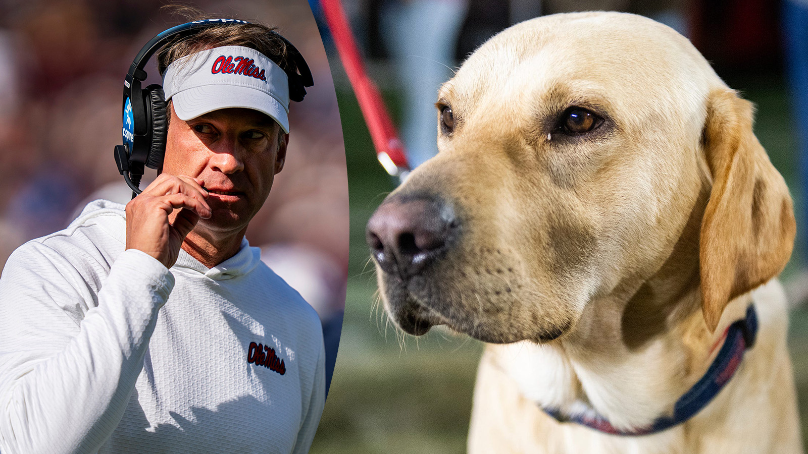 Lane Kiffin Left His Dog ‘Juice’ In Oxford While Abandoning Ole Miss For LSU Amid Labrador Facade
