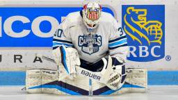 Wisconsin Hockey Team Rebrands For ‘Birds Aren’t Real Night’ And Drops The Best Jersey Of The Year