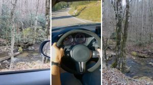 rural area with trees and creek (l) man drives through rural areas (c) man shares what colors to stay away from when seen in trees (r)