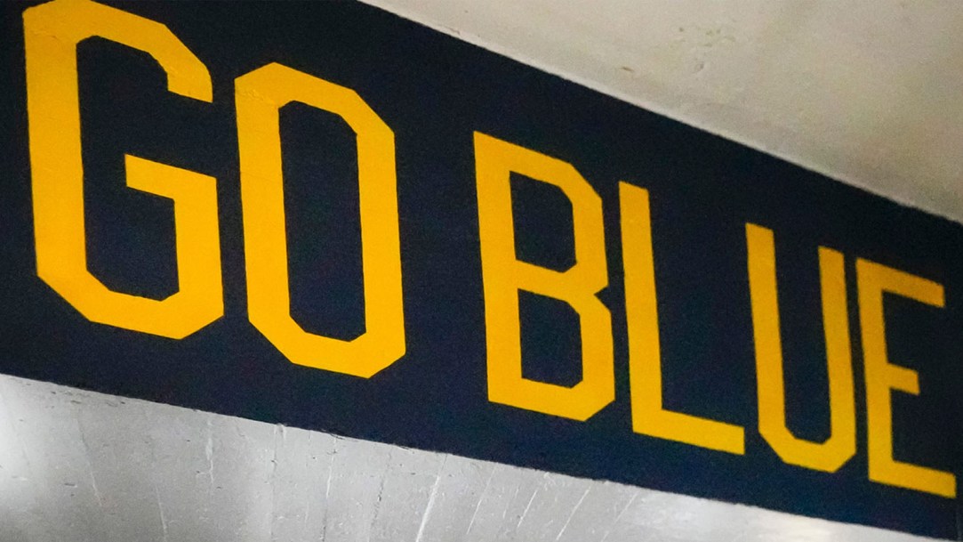 michigan-wolverines-go-blue-sign