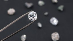 Clever Jewel Thief Uses ICE Deportation To Avoid Trial For Record-Setting Heist