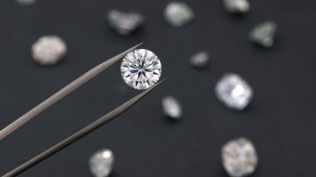 Clever Jewel Thief Uses ICE Deportation To Avoid Trial For Record-Setting Heist