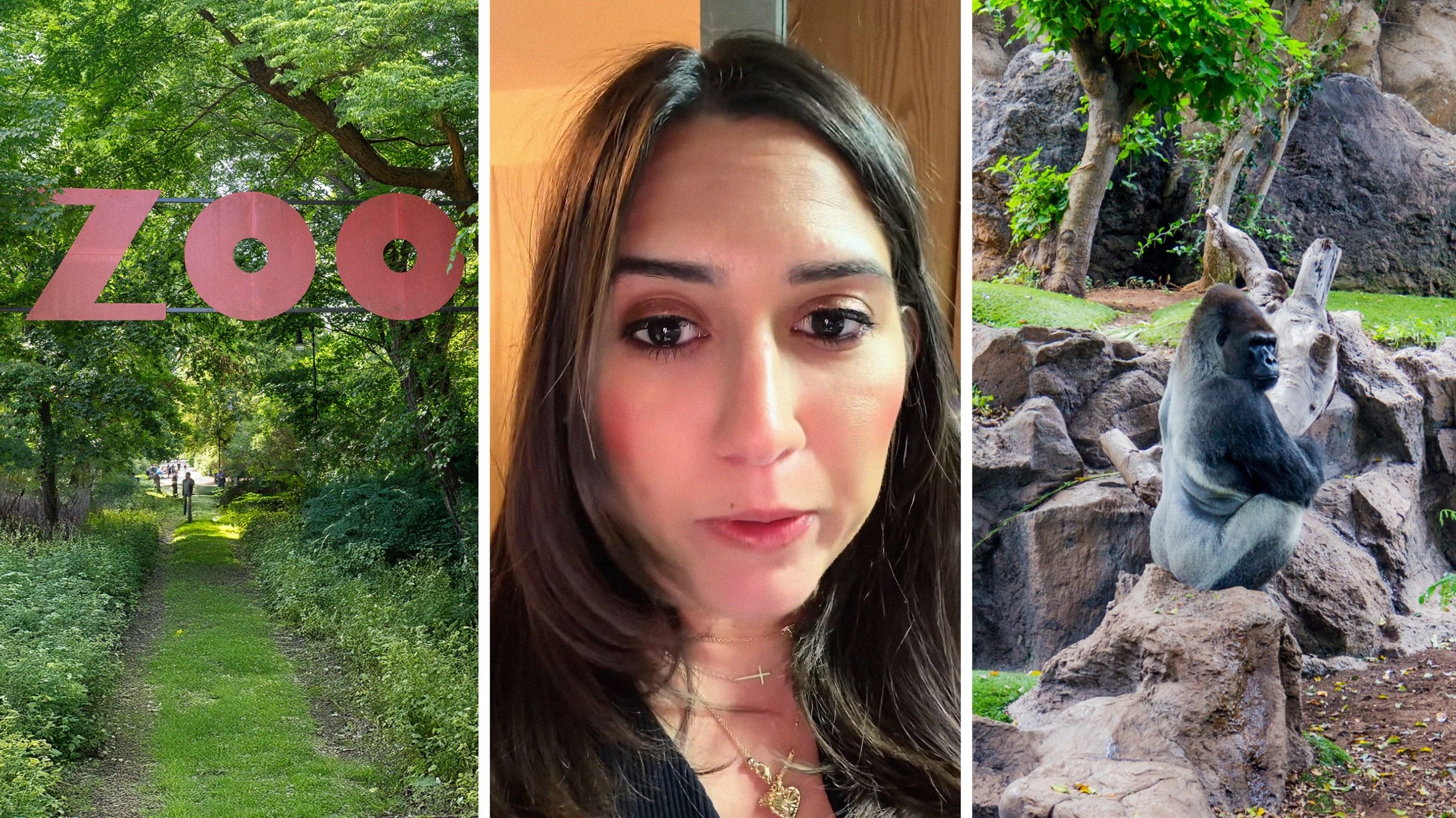 zoo sign (l) woman shares zoo experience (c) gorilla in the zoo (r)