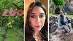 ‘My 100th Sign To Go’: Woman Goes To Visit Gorillas At The San Antonio Zoo. There’s Just One Problem