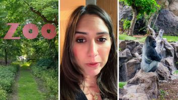 ‘My 100th Sign To Go’: Woman Goes To Visit Gorillas At The San Antonio Zoo. There’s Just One Problem