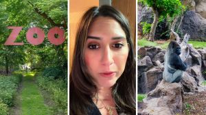 zoo sign (l) woman shares zoo experience (c) gorilla in the zoo (r)