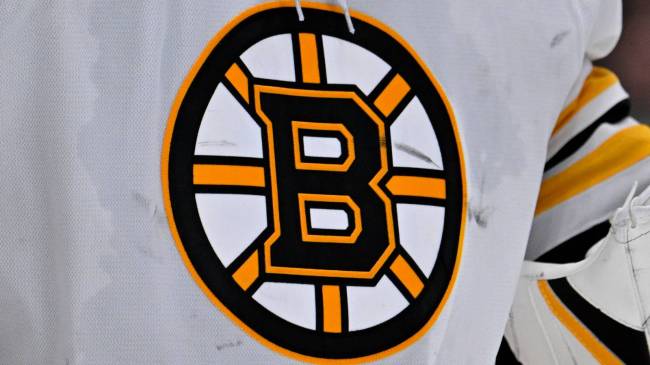 Boston Bruins logo