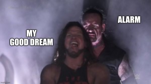 funniest undertaker AJ meme