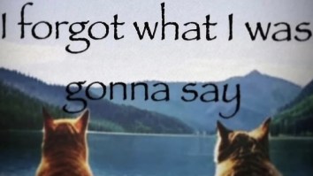 The 51 Funniest Memes You Are Going To See Today