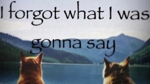 funniest meme about forgetting what you were going to say