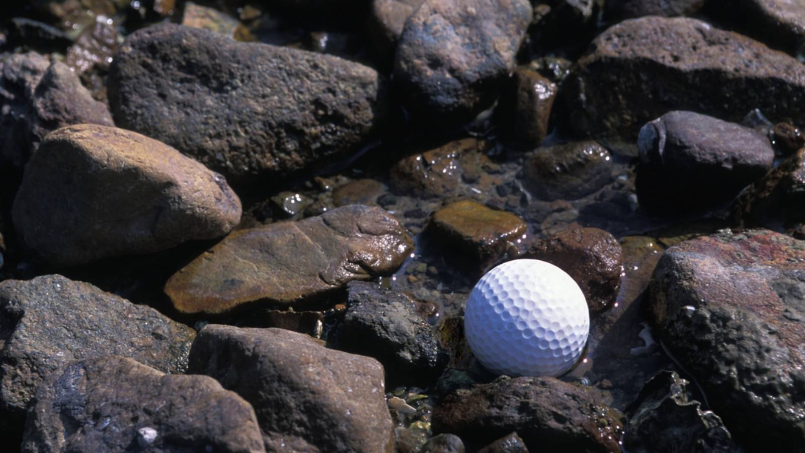 Indian Golf Ball Rocks The 9 Highest Scores On One A Hole In A PGA Tour Tournament
