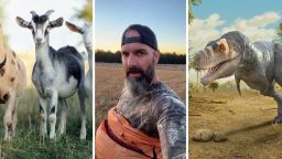 Farmer Says That Goats Are Afraid Of Dinosaurs. So He Buys A T-Rex Costume And Goes Out In The Field: ‘Who’s The Boss?’
